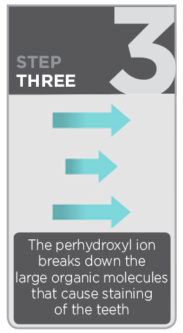 step3_htww