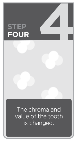 step4_htww
