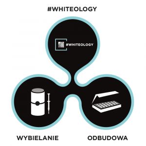 white dental beauty whiteology wybielanie odbudowa